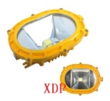 XDP(PD-GB6601) LED防爆灯