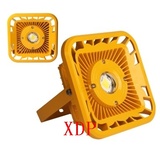 XDP(PD-GB6603) LED防爆灯